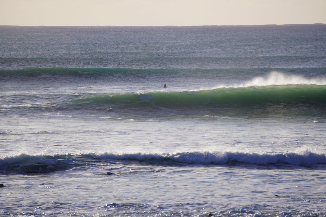 取り合いからの学び