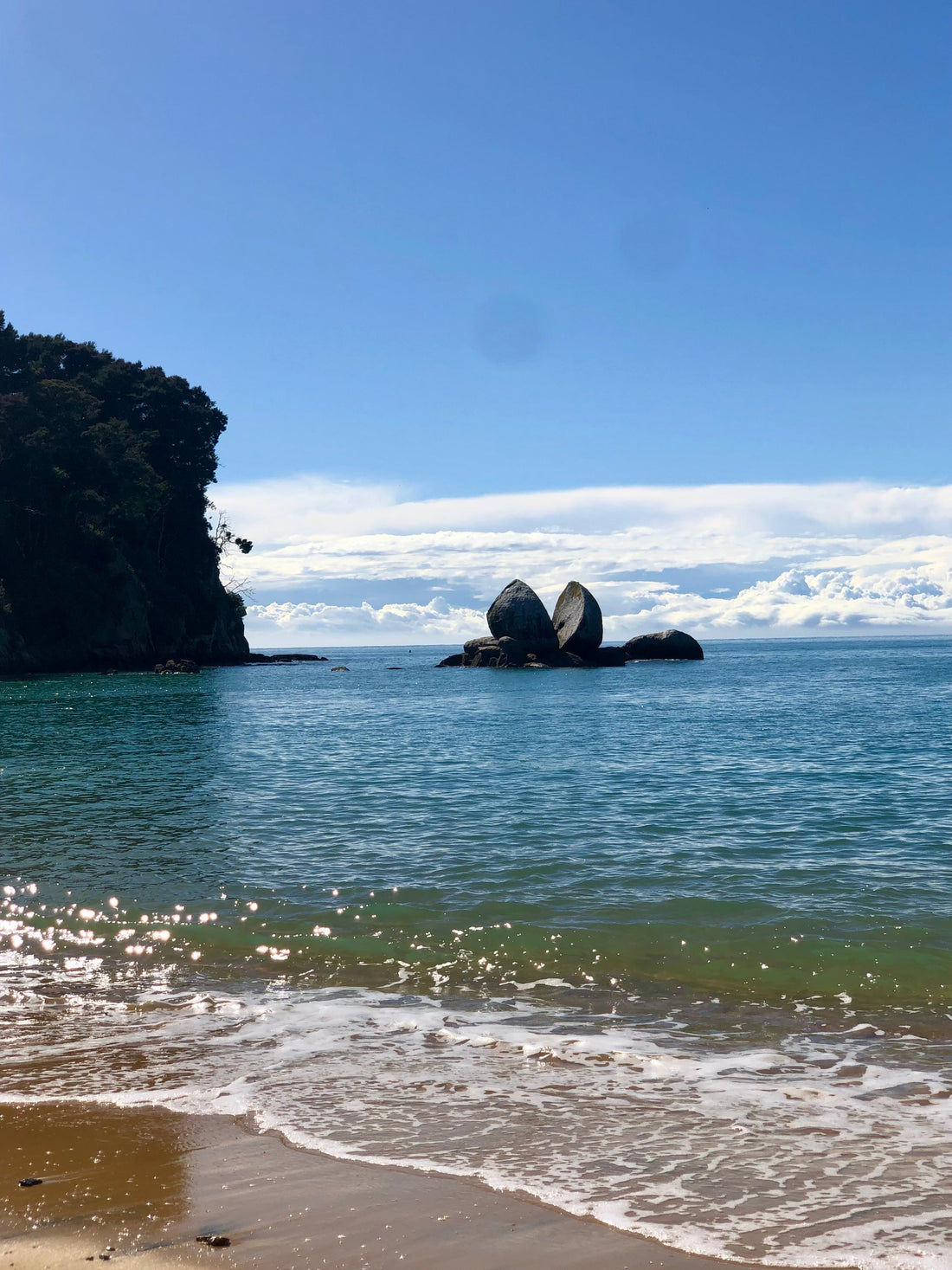 僕のリアル・ニュージーランドライフ