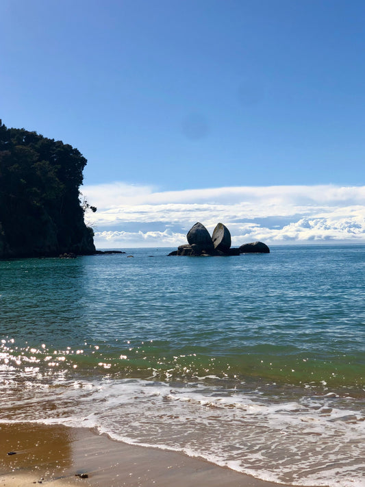 僕のリアル・ニュージーランドライフ