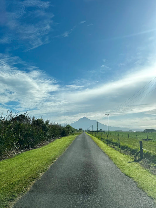 ニュージーランドリアルライフ 第4弾