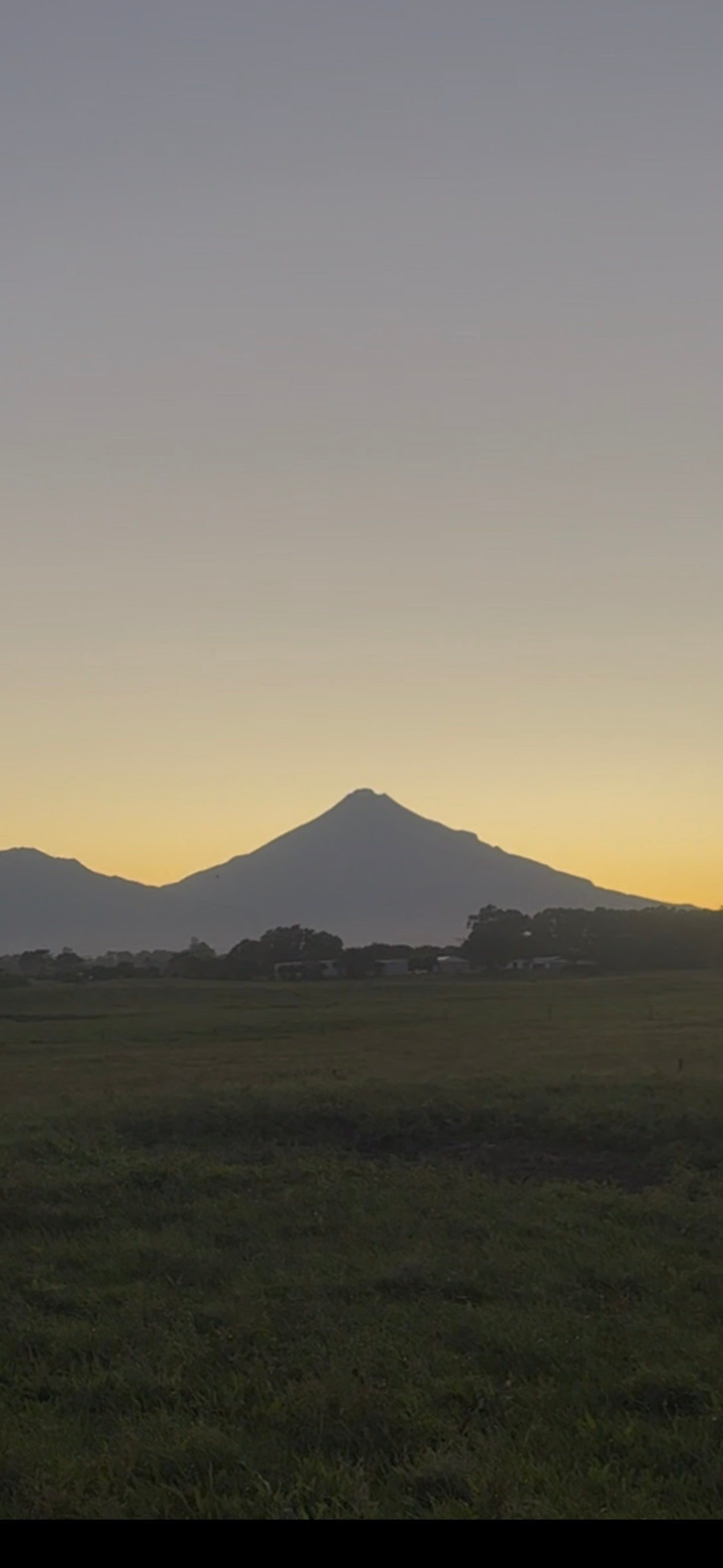 ニュージーランドリアルライフ第5弾