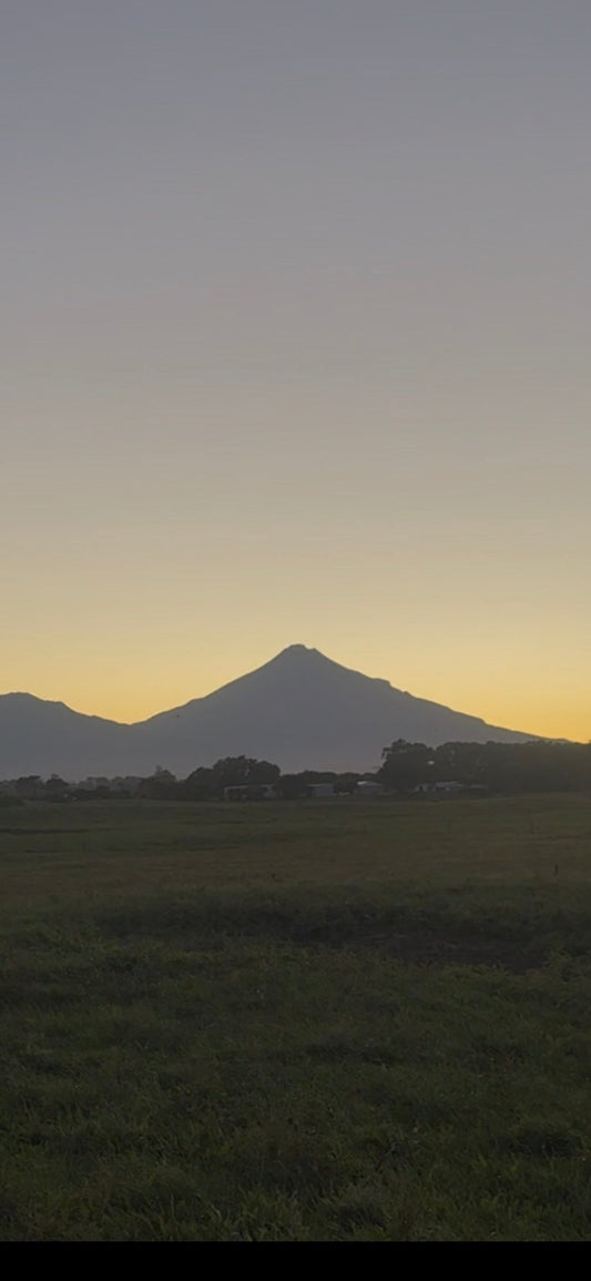 ニュージーランドリアルライフ第5弾