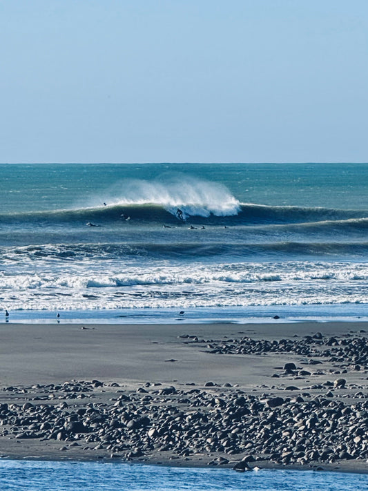 ワイタンギ・デイ　サーファー移民、日本人の民族感覚