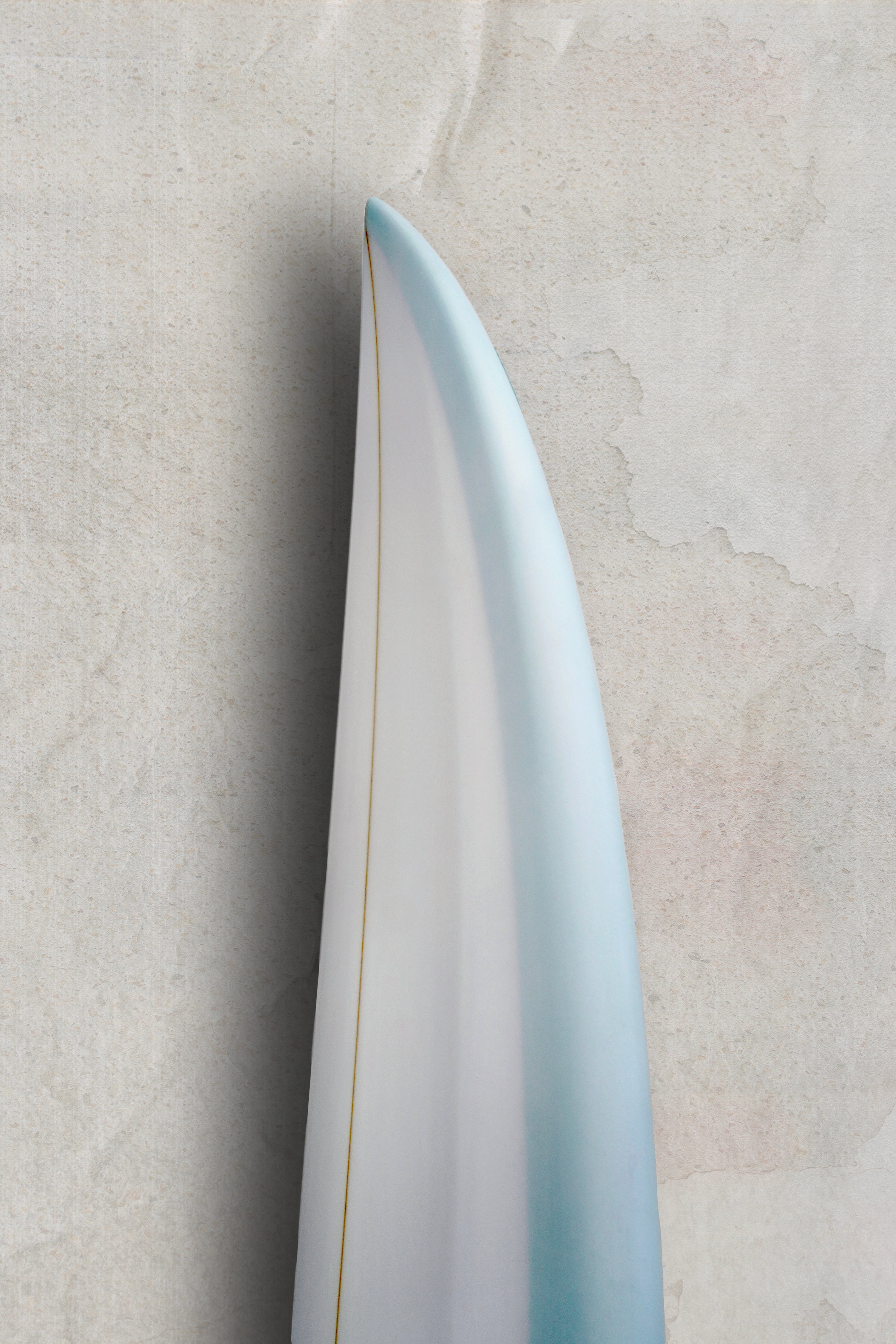 Fresh Fish – BeStoke Surf